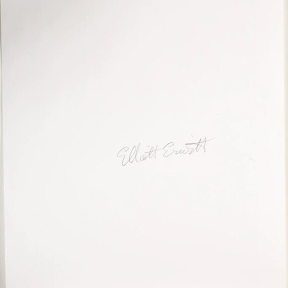 Elliott Erwitt (American b. 1928) 'Provence', 1955, silver print, signed / SOLD