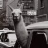 Inge Morath (Austrian-American, 1923-2002), 'Llama in NYC Taxi', 1957 signed silver print / SOLD