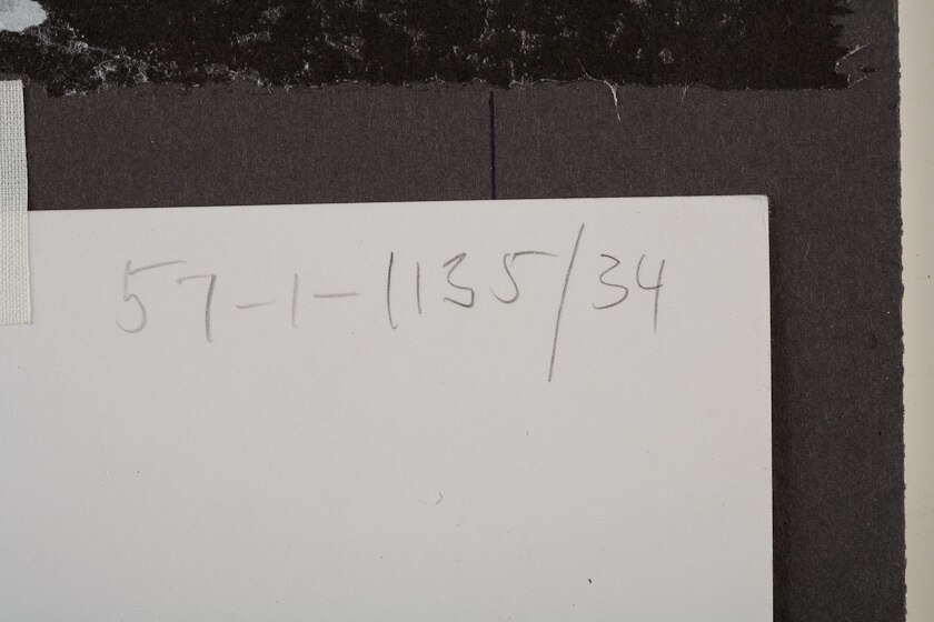 Inge Morath (Austrian-American, 1923-2002), 'Llama in NYC Taxi', 1957 signed silver print / SOLD