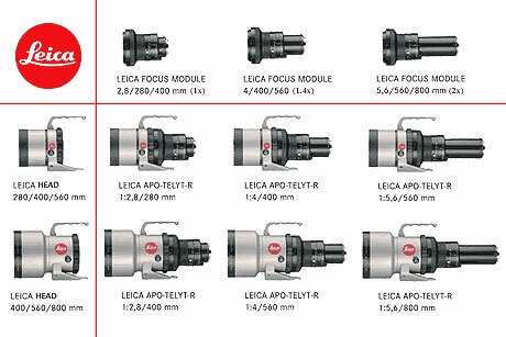 Leica 400/560/800 Apo Telyt-ROM Lens Cat #11842 & Leica 1X focusing module #11843 w.Leica hood,caps and lens  case Ex++ / SOLD/WANTED